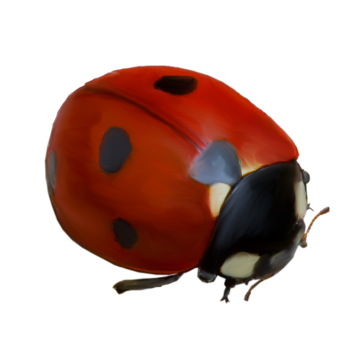 0_bbce5_a1fb1327_L.png