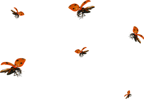 0_bbfba_c51377a0_L.png